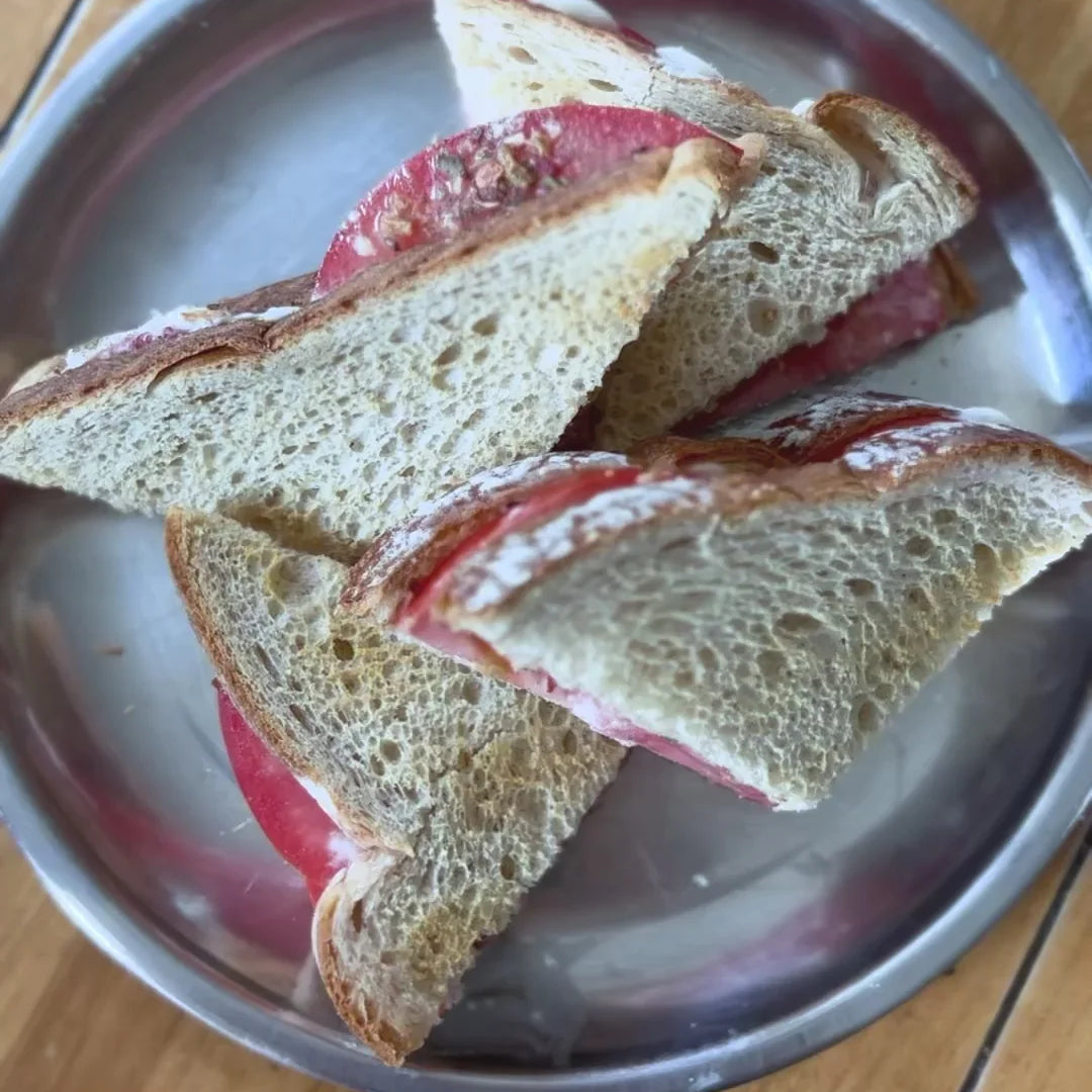 Spiced Tomato Sandwich Recipe by Satya Blends